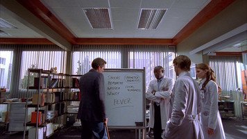 Доктор Хаус 2 сезон 5 серия — смотреть онлайн бесплатно